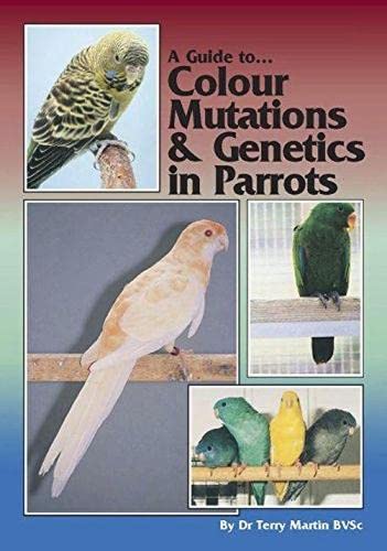 A Guide To Colour Mutations And Genetics In Parrots Martin Terry