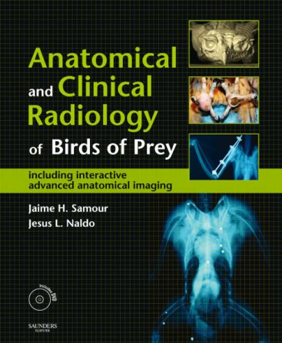 Anatomical Clinical Radiology Of Birds Of Prey Including Interactive Advanced Anatomical Imaging 1st Edition Jaime Samour