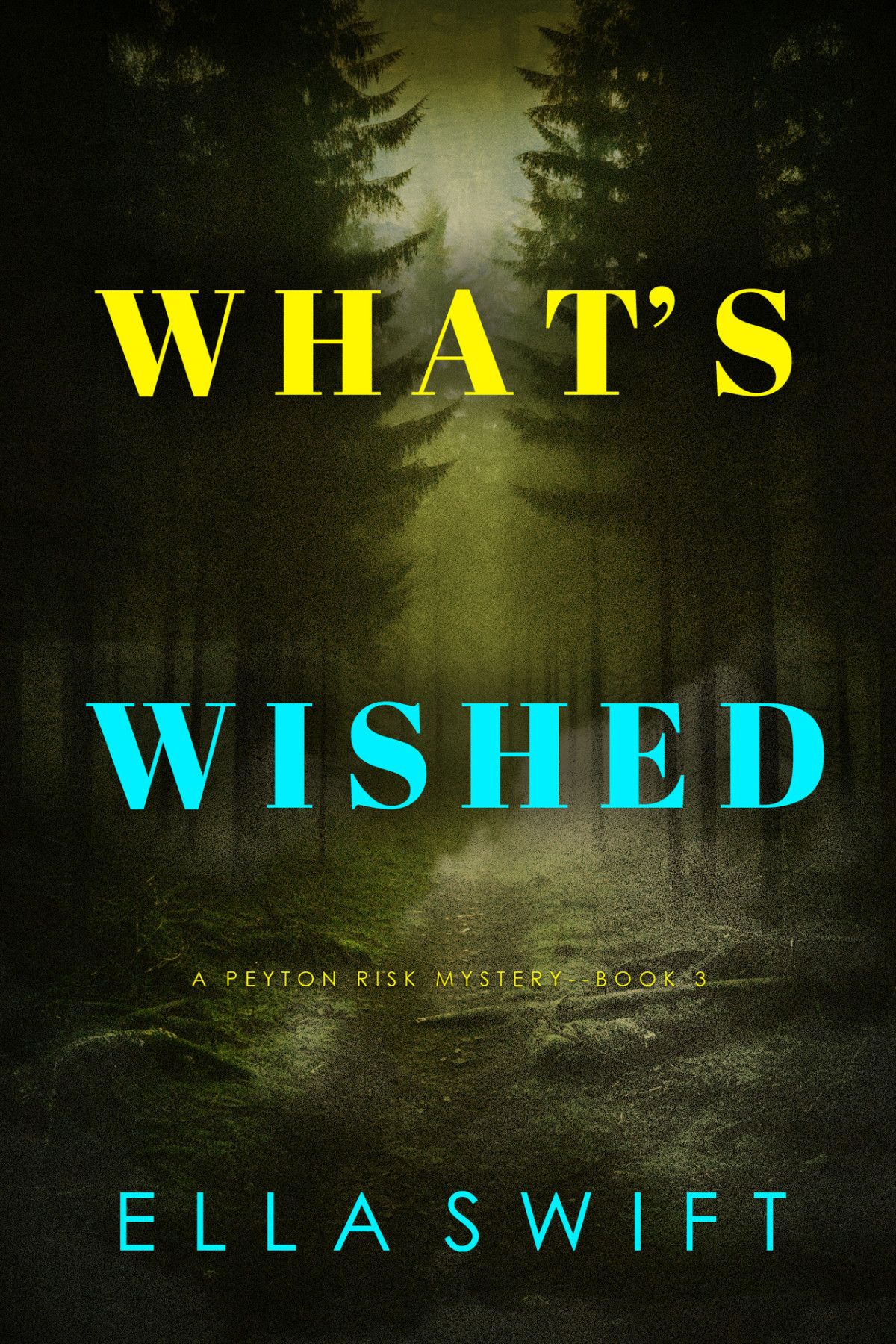 Whats Wished A Peyton Risk Suspense Thrillerbook 3 Ella Swift