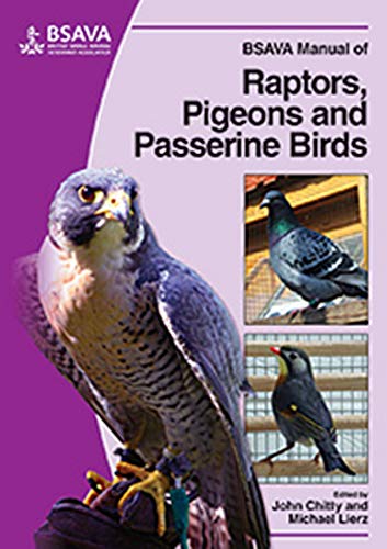 Bsava Manual Of Raptors Pigeons And Passerine Birds 1st Edition John Chitty