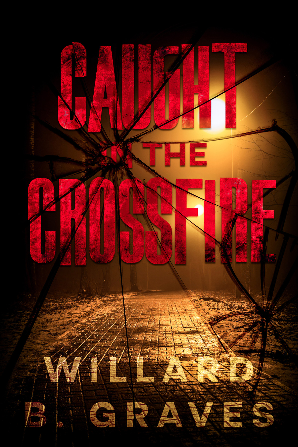 Caught In The Crossfire Willard B Graves