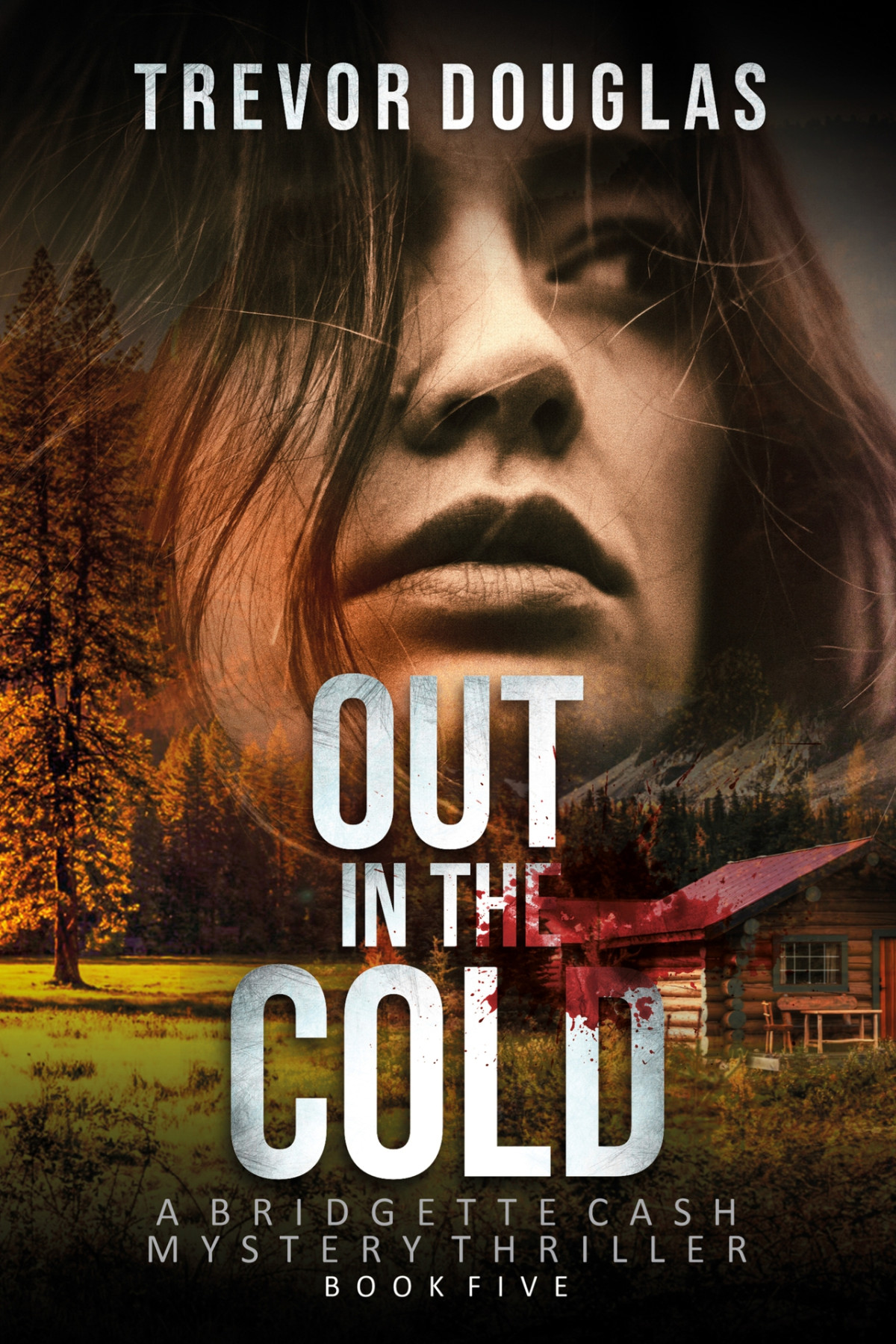 Out In The Cold Bridgette Cash Mystery Thriller Book 5 Trevor Douglas