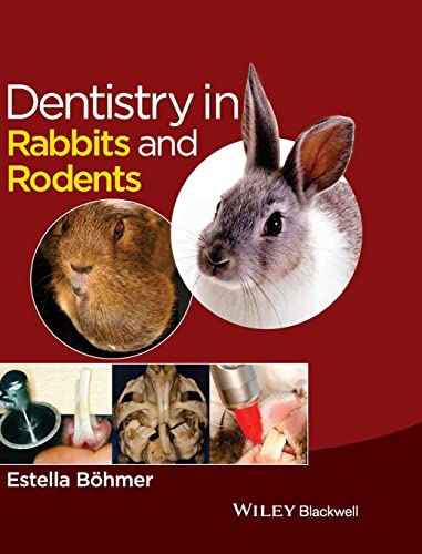 Dentistry In Rabbits And Rodents 1st Edition Bhmer Estella