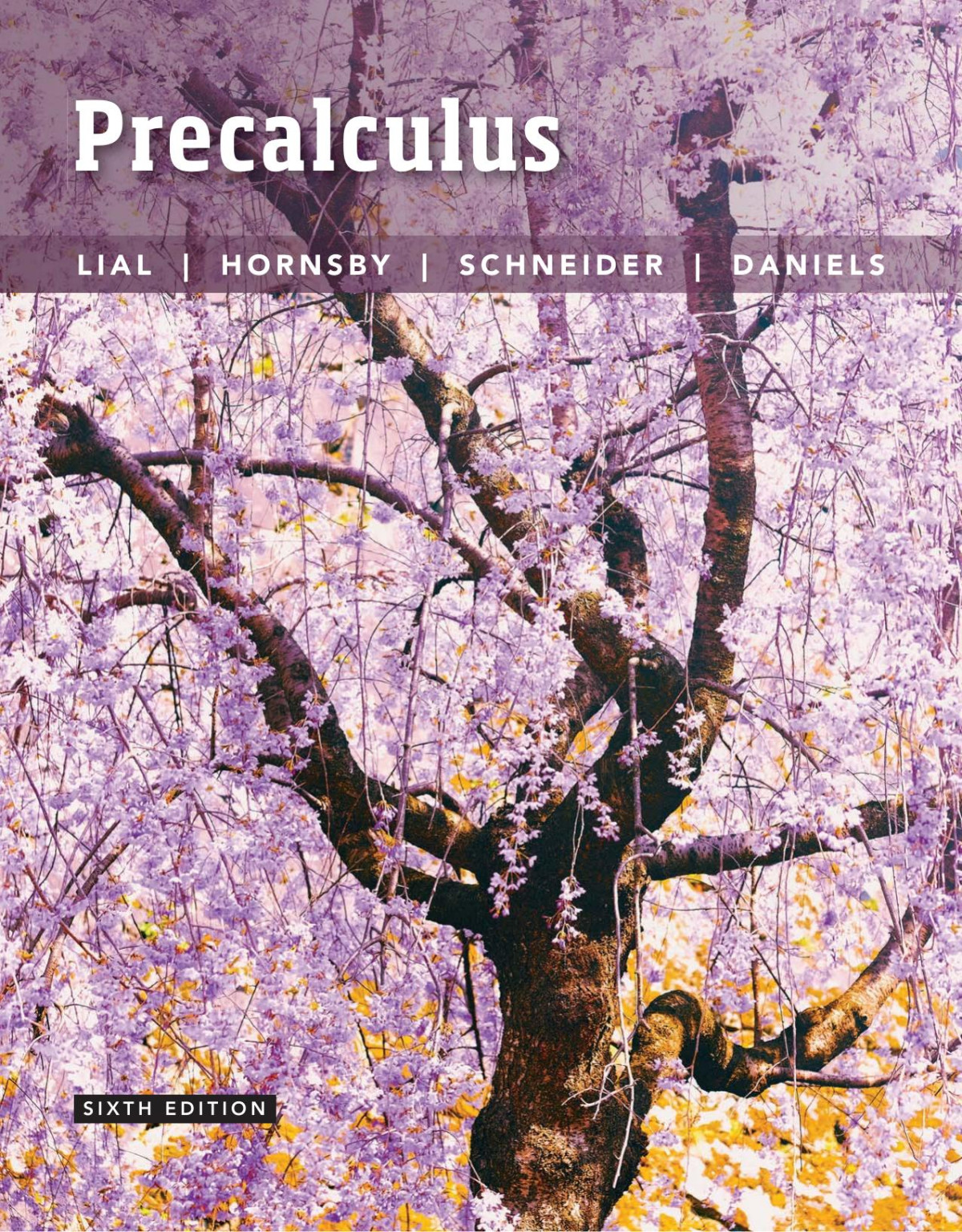 Precalculus 6th Margaret L Lial John Hornsby David Schneider