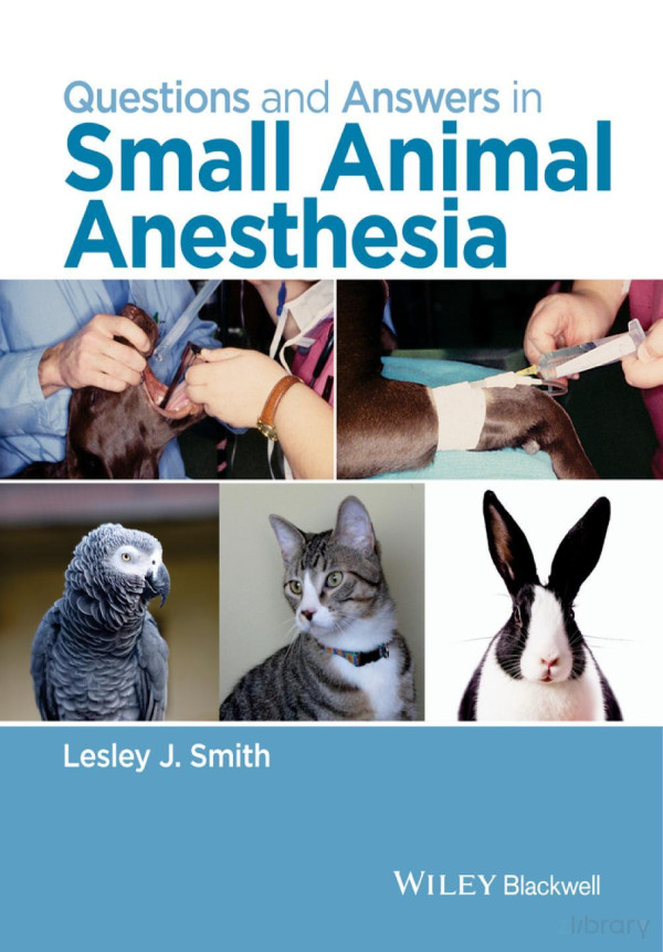 Questions And Answers In Small Animal Anesthesia 1st Edition Lesley J Smith