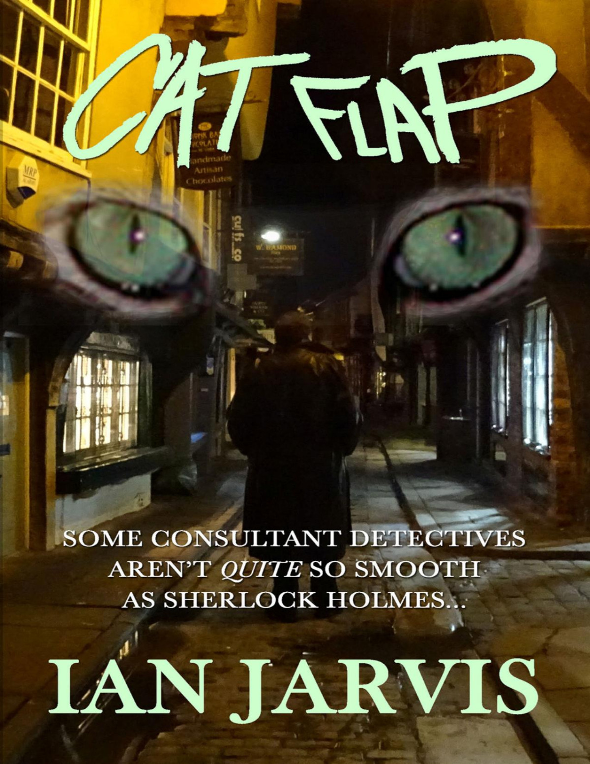 Cat Flap Ian Jarvis