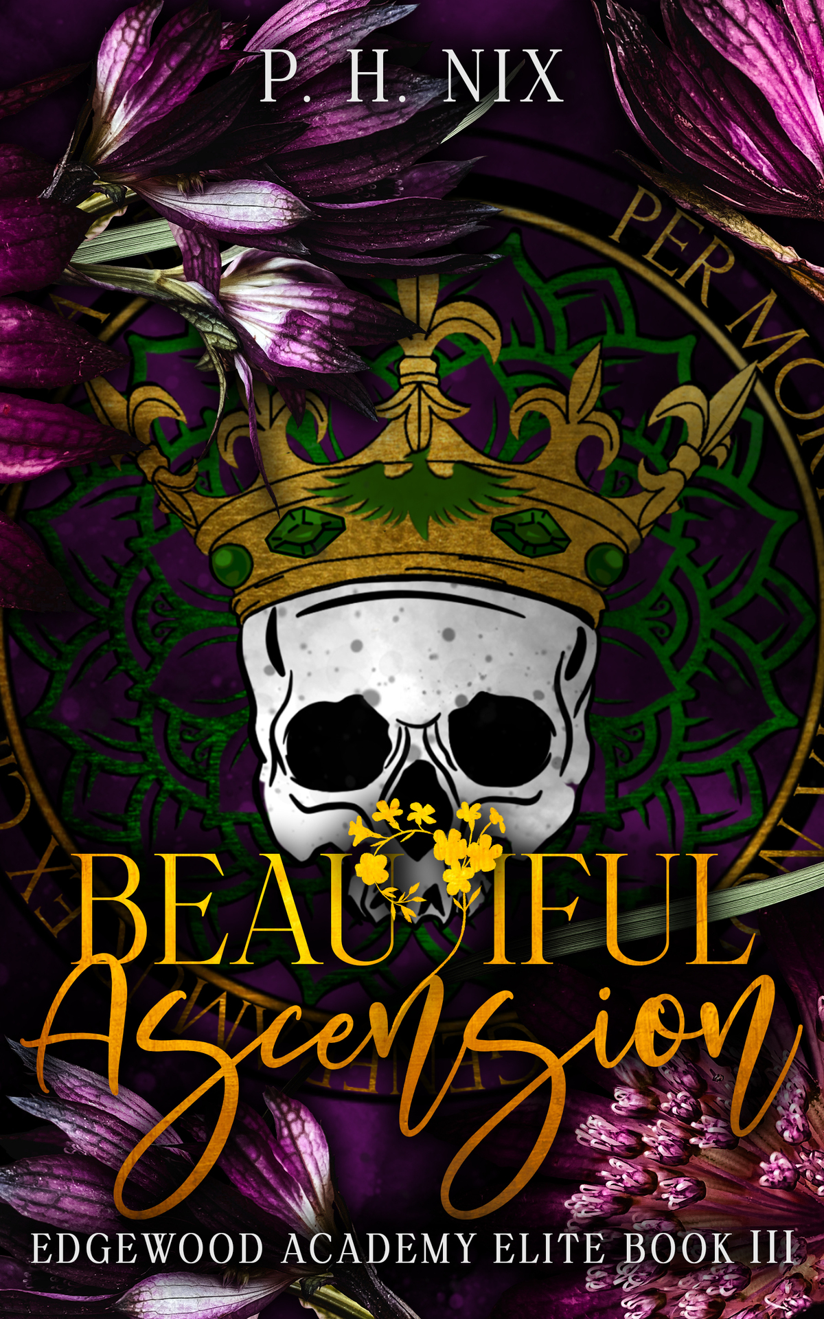 Beautiful Ascension Dark College Romance Edgewood Academy Elites Book 3 Ph Nix