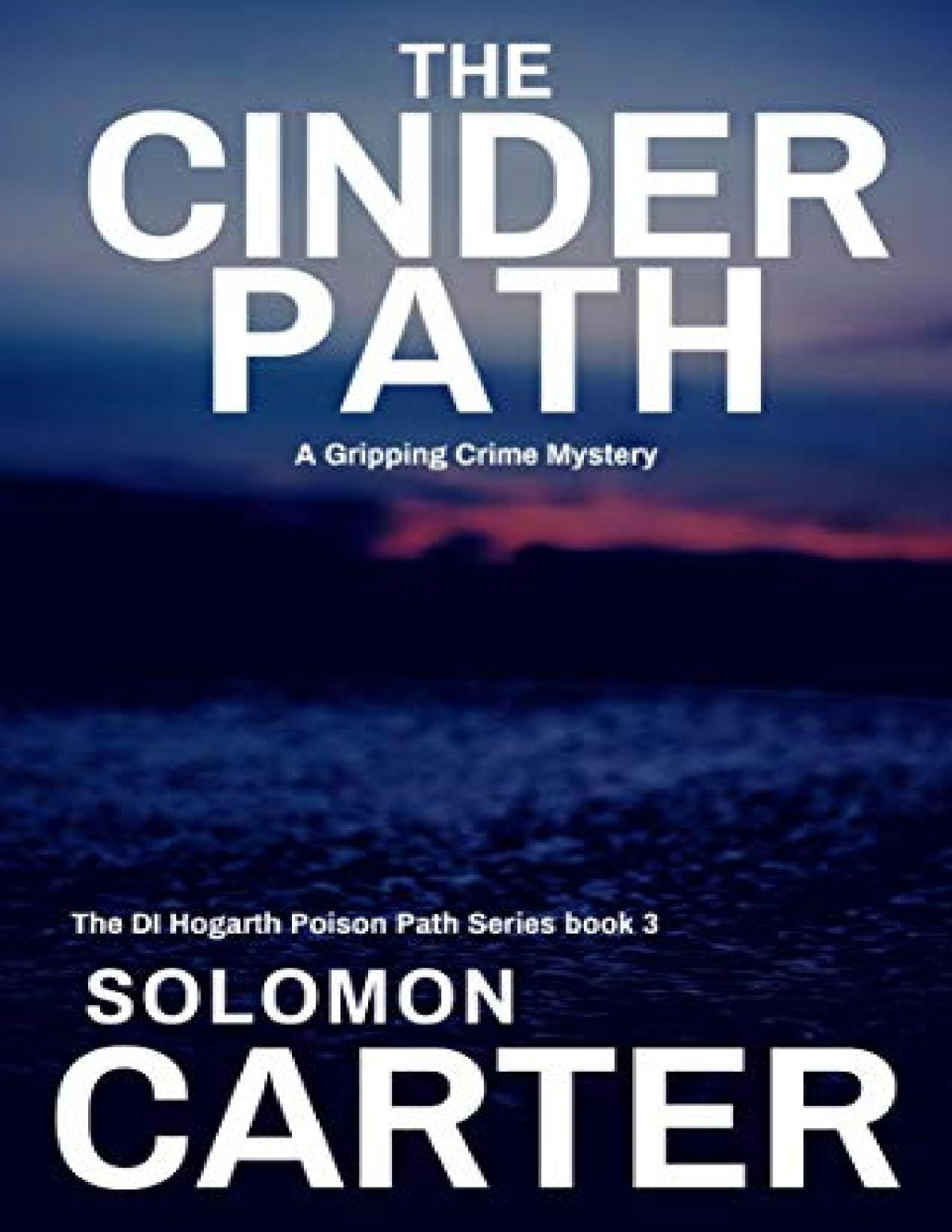 The Cinder Path A Gripping Detective Crime Mystery Solomon Carter