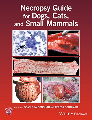 Necropsy Guide For Dogs Cats And Small Mammals 1st Edition Sean P Mcdonough
