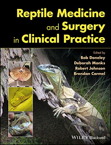 Reptile Medicine And Surgery In Clinical Practice 1st Edition Bob Doneley