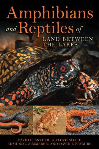 Amphibians And Reptiles Of Land Between The Lakes Illustrated Zimmerer