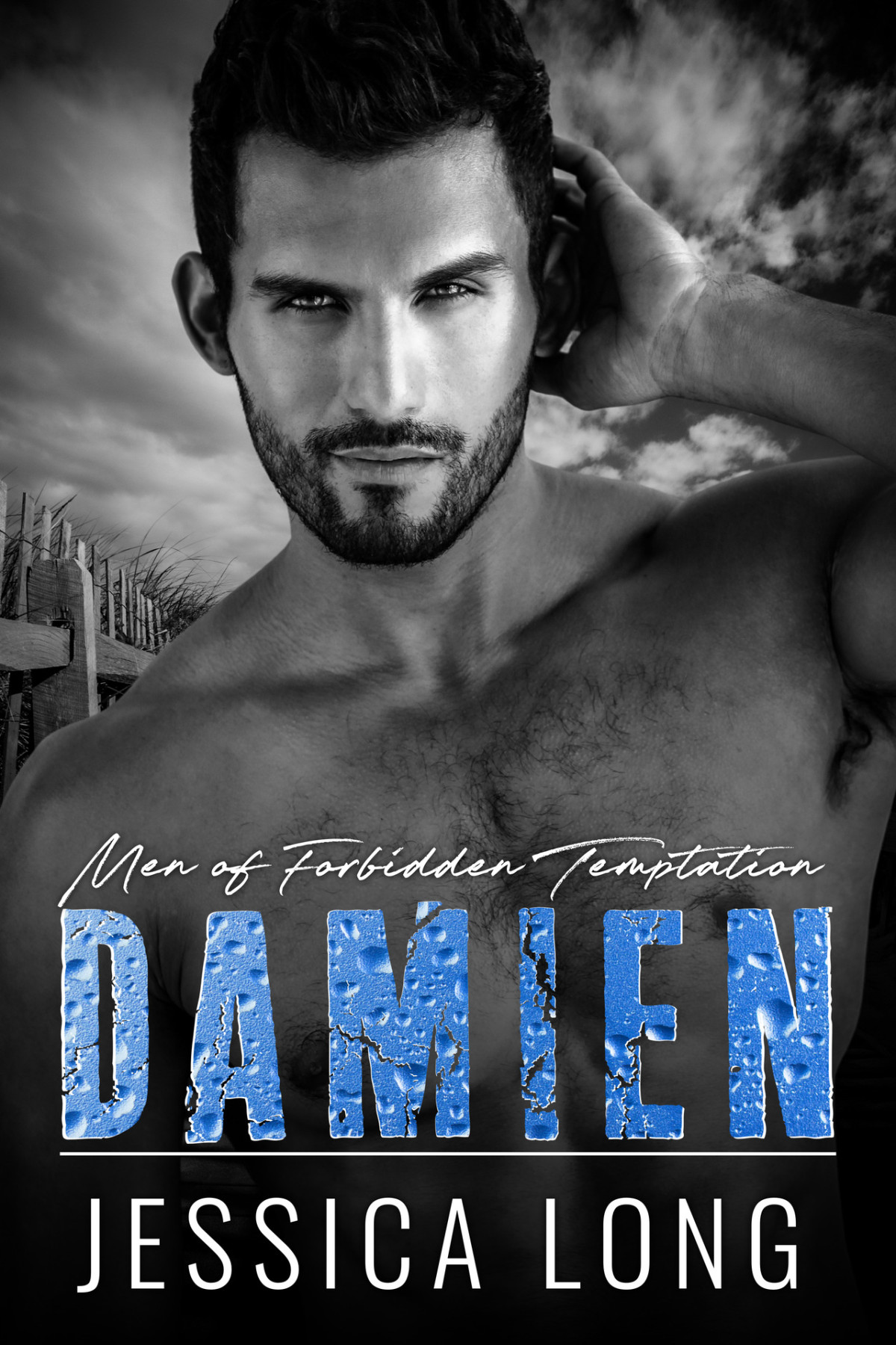 Damien Men Of Forbidden Temptation Book 3 Jessica Long