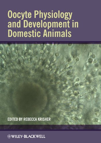 Oocyte Physiology And Development In Domestic Animals 1st Edition Rebecca Krisher