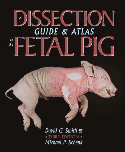 A Dissection Guide And Atlas To The Fetal Pig 3rd Edition David G Smith