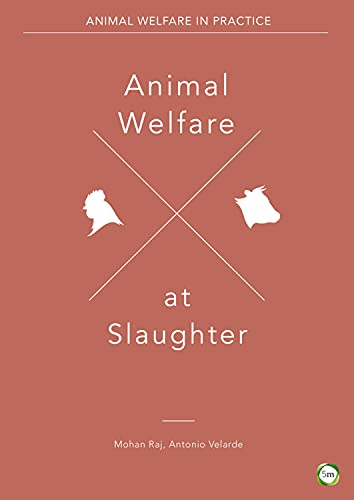 Animal Welfare At Slaughter 1st Edition Antonio Velarde Mohan Raj