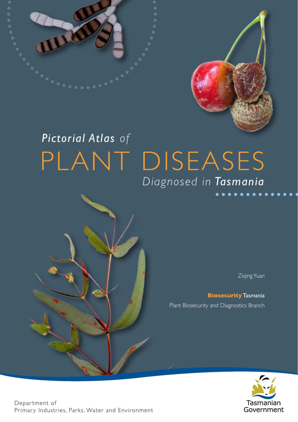 Pictorial Atlas Of Plant Diseases In Tasmania Ziqing Yuan