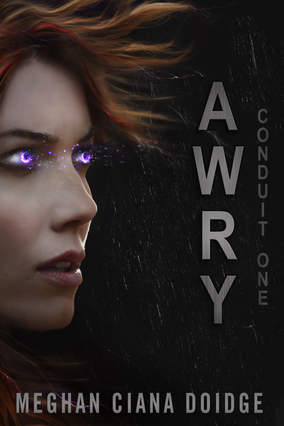 Conduit 1 Awry Meghan Ciana Doidge