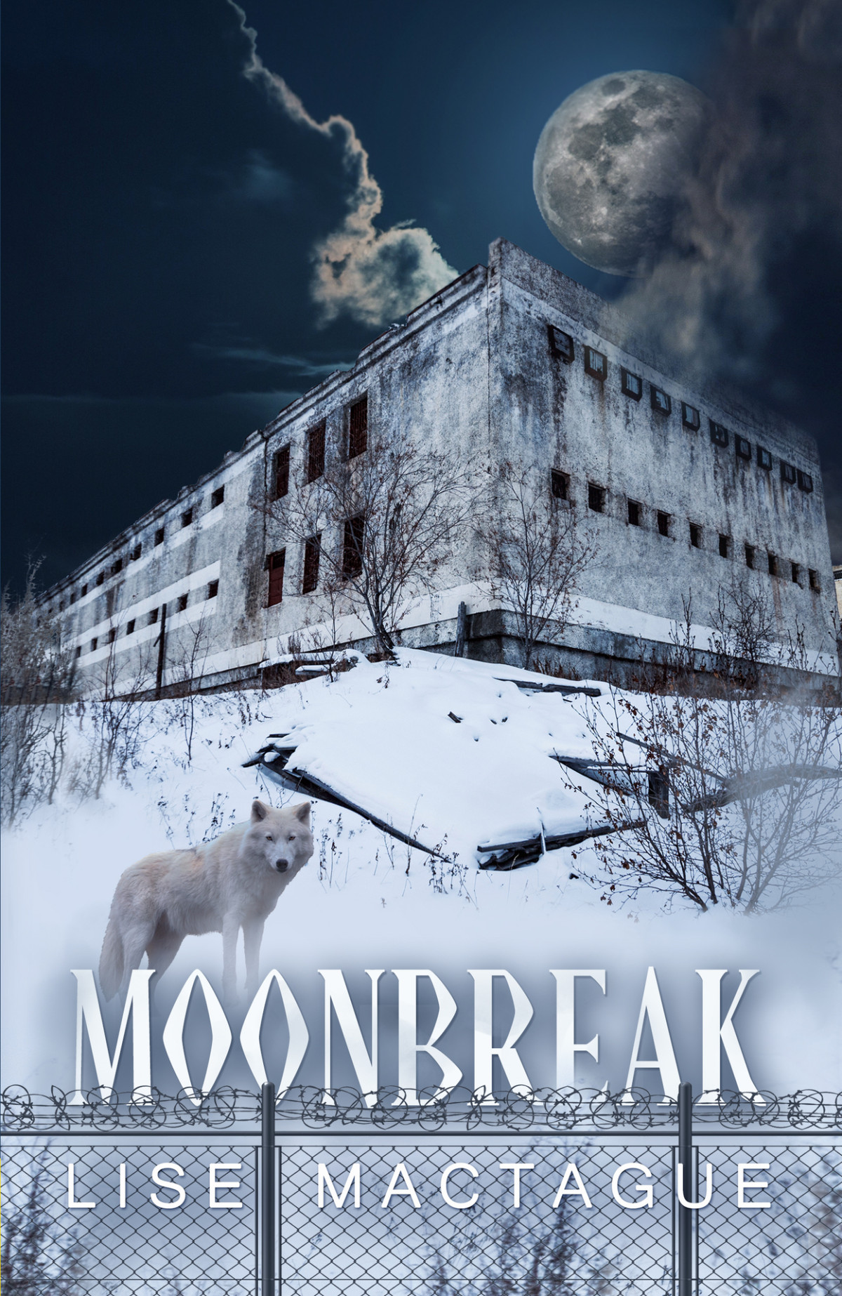 Moonbreak Lise Mactague