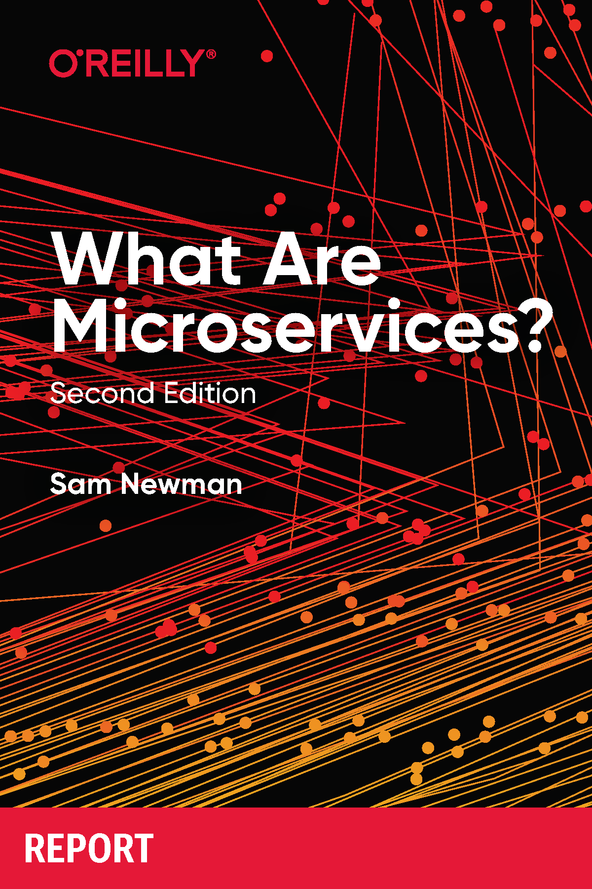 What Are Microservices 2nd Sam Newman