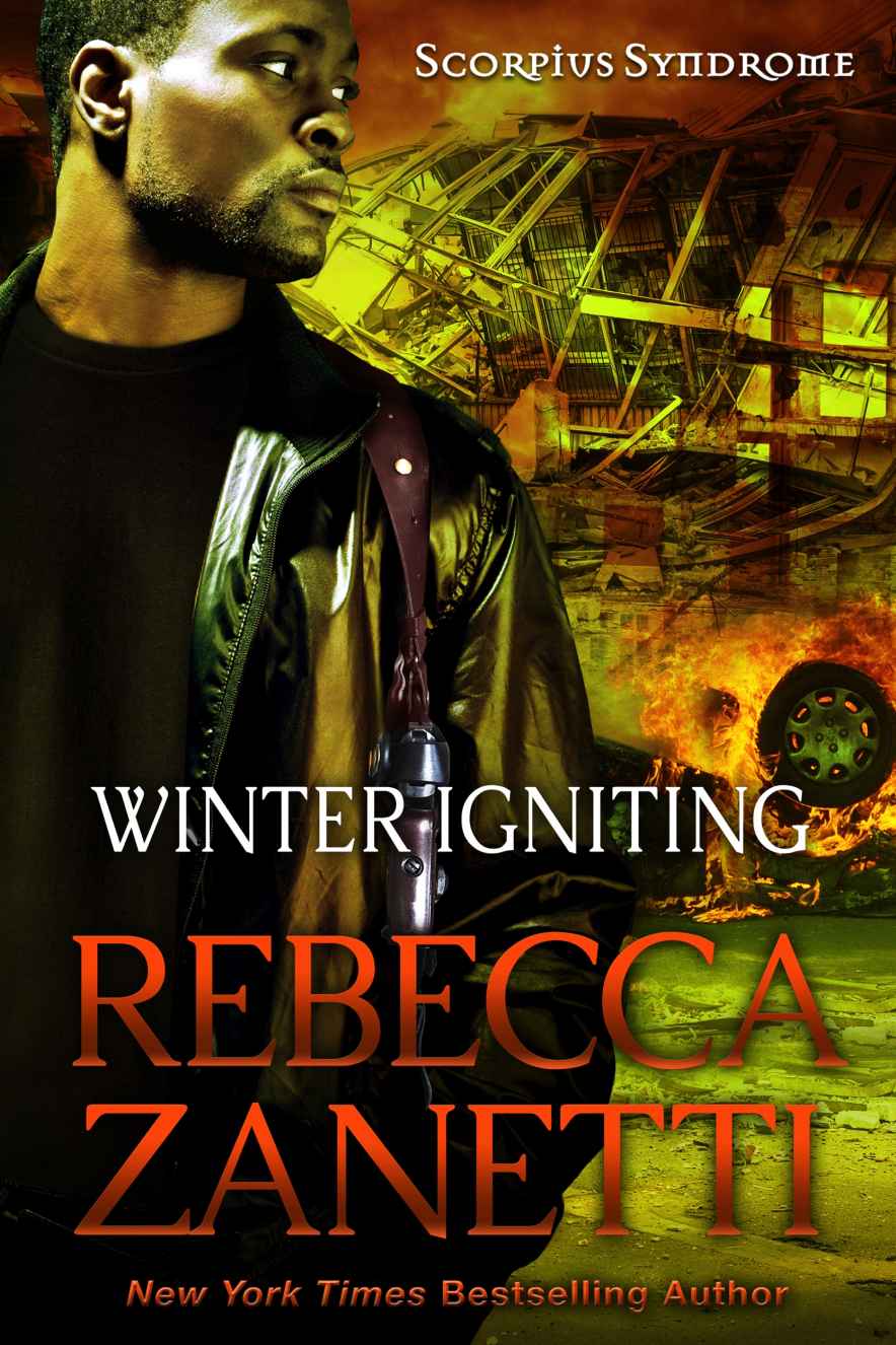 Winter Igniting Rebecca Zanetti