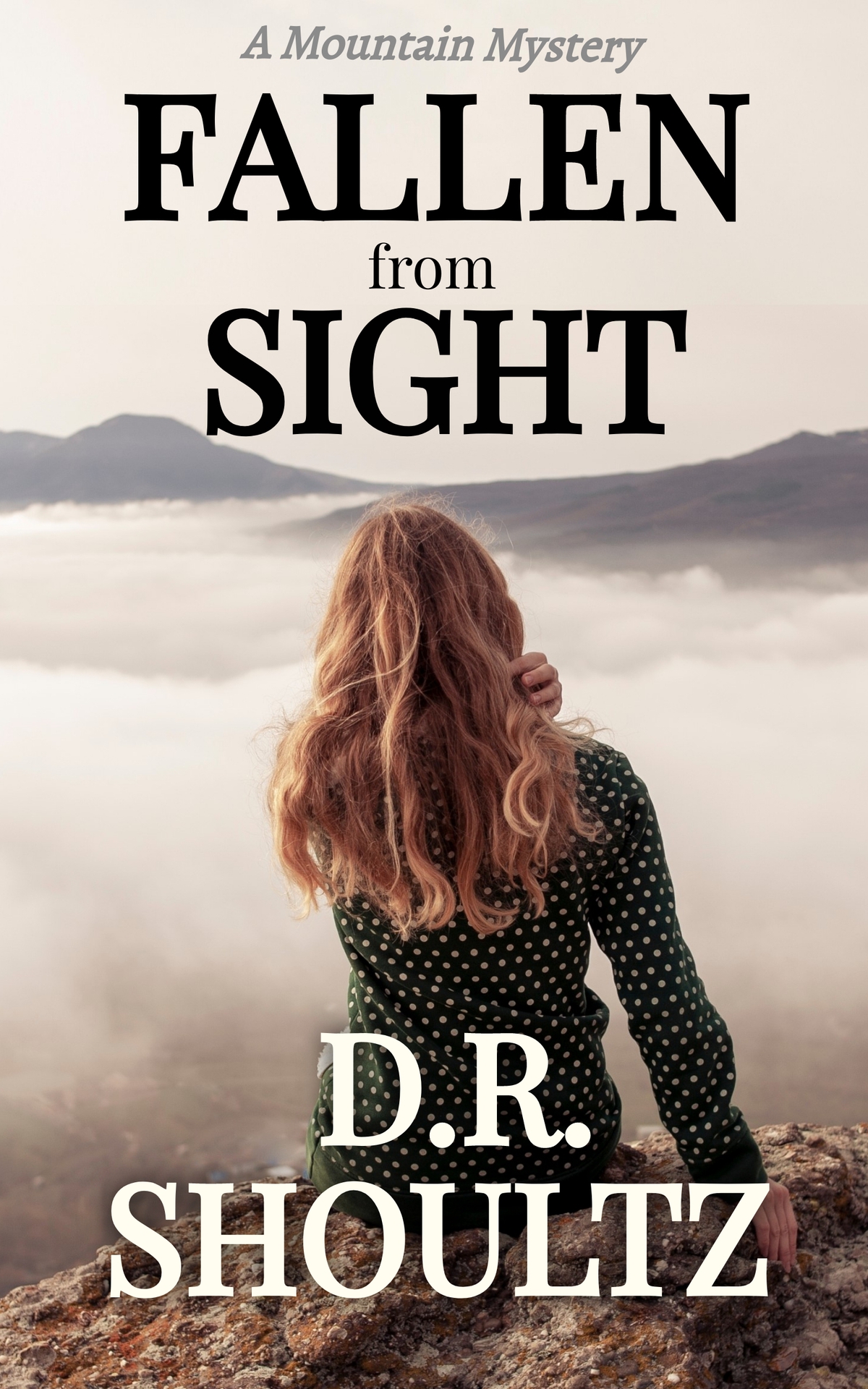 Fallen From Sight A Mountain Mystery Dr Shoultz