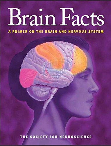 Brain Facts A Primer On The Brain And Nervous System Fourth Edition The Society For Neuroscience