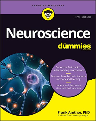 Neuroscience For Dummies 3rd Amthor Frank