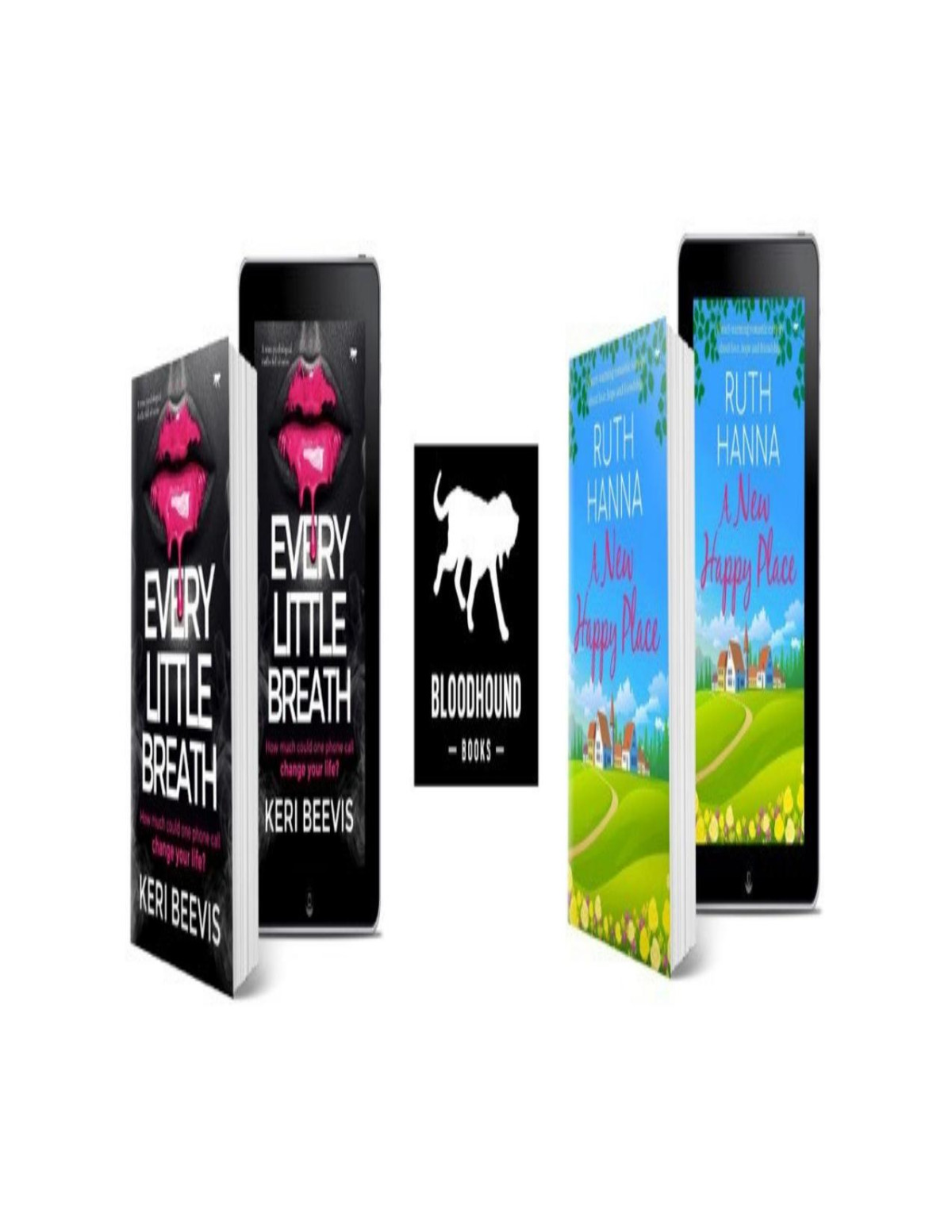 The Dublin Murder Mysteries Books One To Six Valerie Keogh