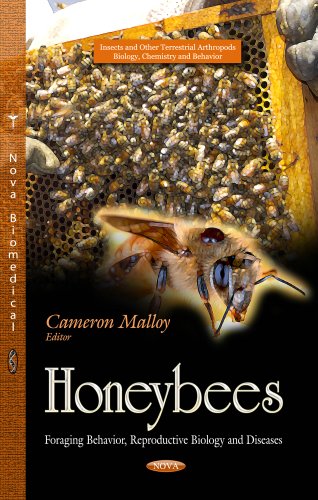 Honeybees Foraging Behavior Reproductive Biology And Diseases Insects And Other Terrestrial Arthropods Biology Chemistry And Behavior Uk Ed Cameron Malloy