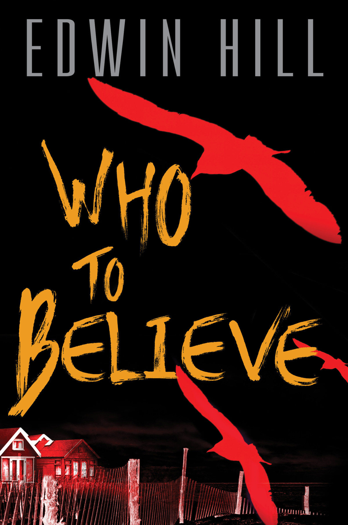 Who To Believe 1st Edition Edwin Hill
