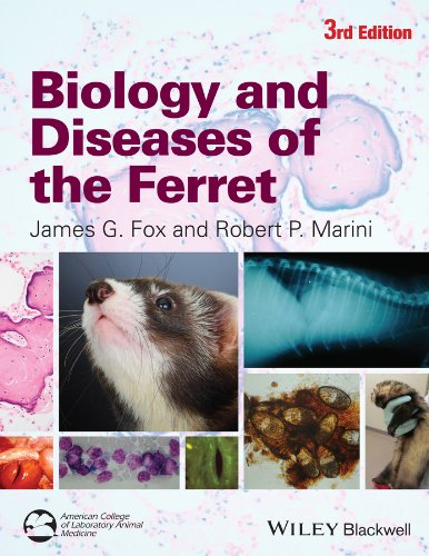 Biology And Diseases Of The Ferret 3rd Edition James G Fox Robert P Marini