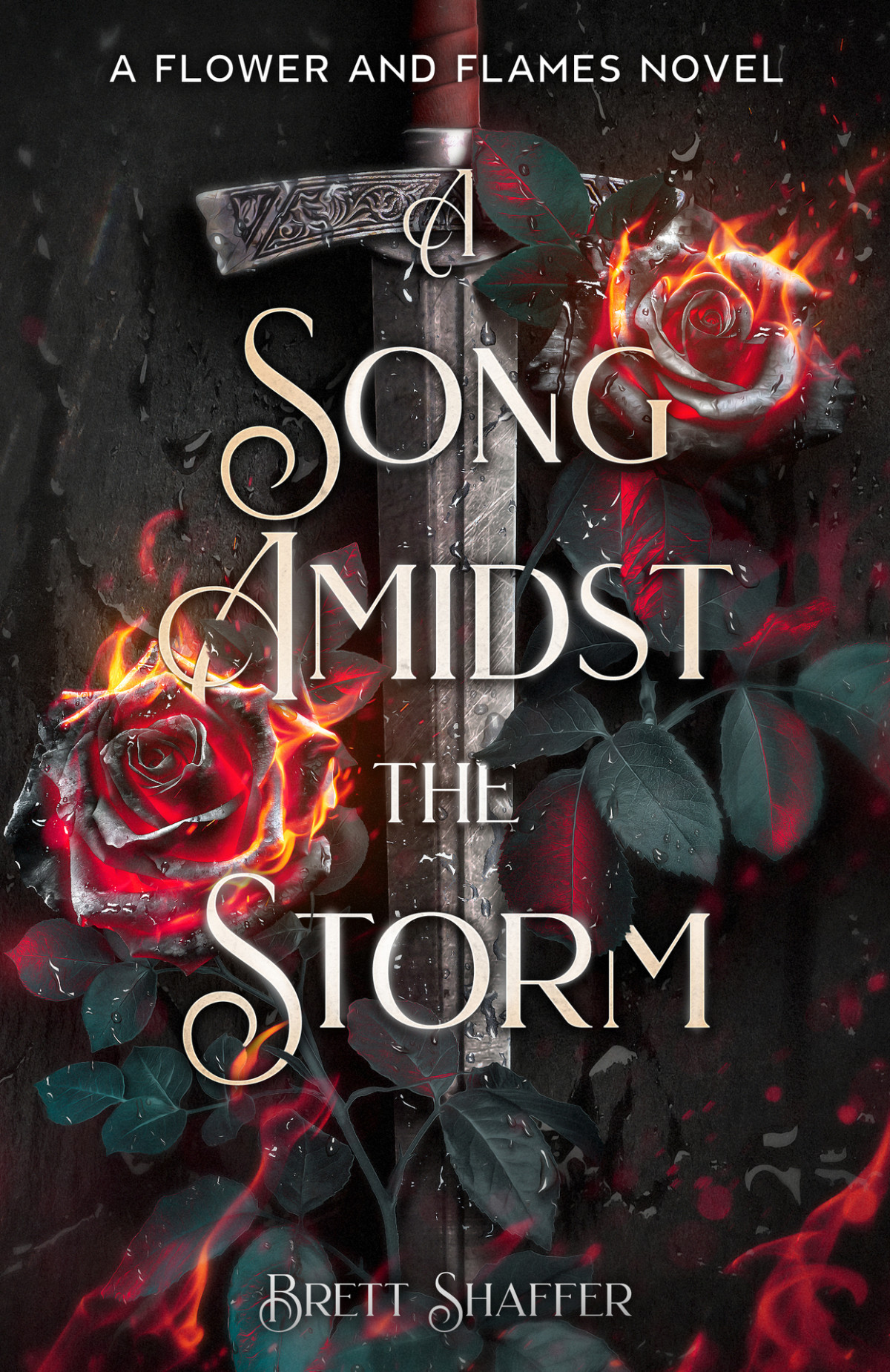 A Song Amidst The Storm Brett Shaffer