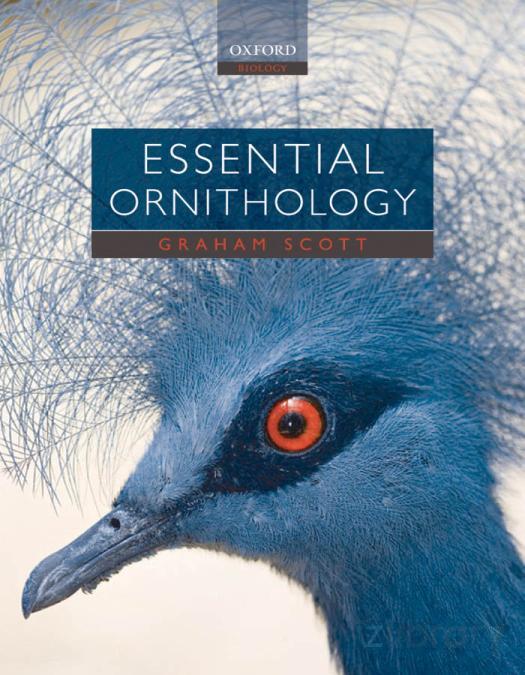 Essential Ornithology Graham Scott