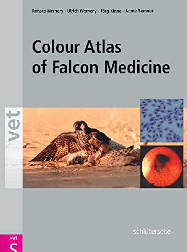 Colour Atlas Of Falcon Medicine 1st Edition Wernery Renate Wernery
