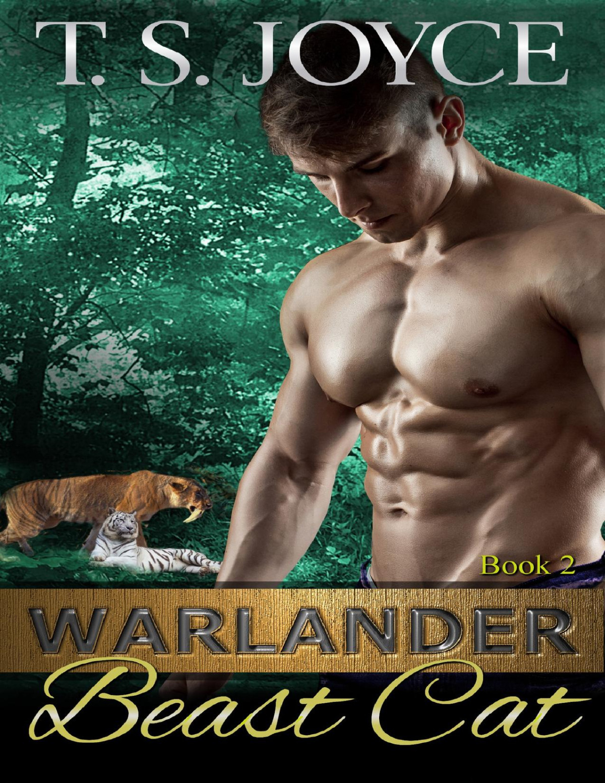 Warlander Beast Cat Warlanders Book 2 T S Joyce