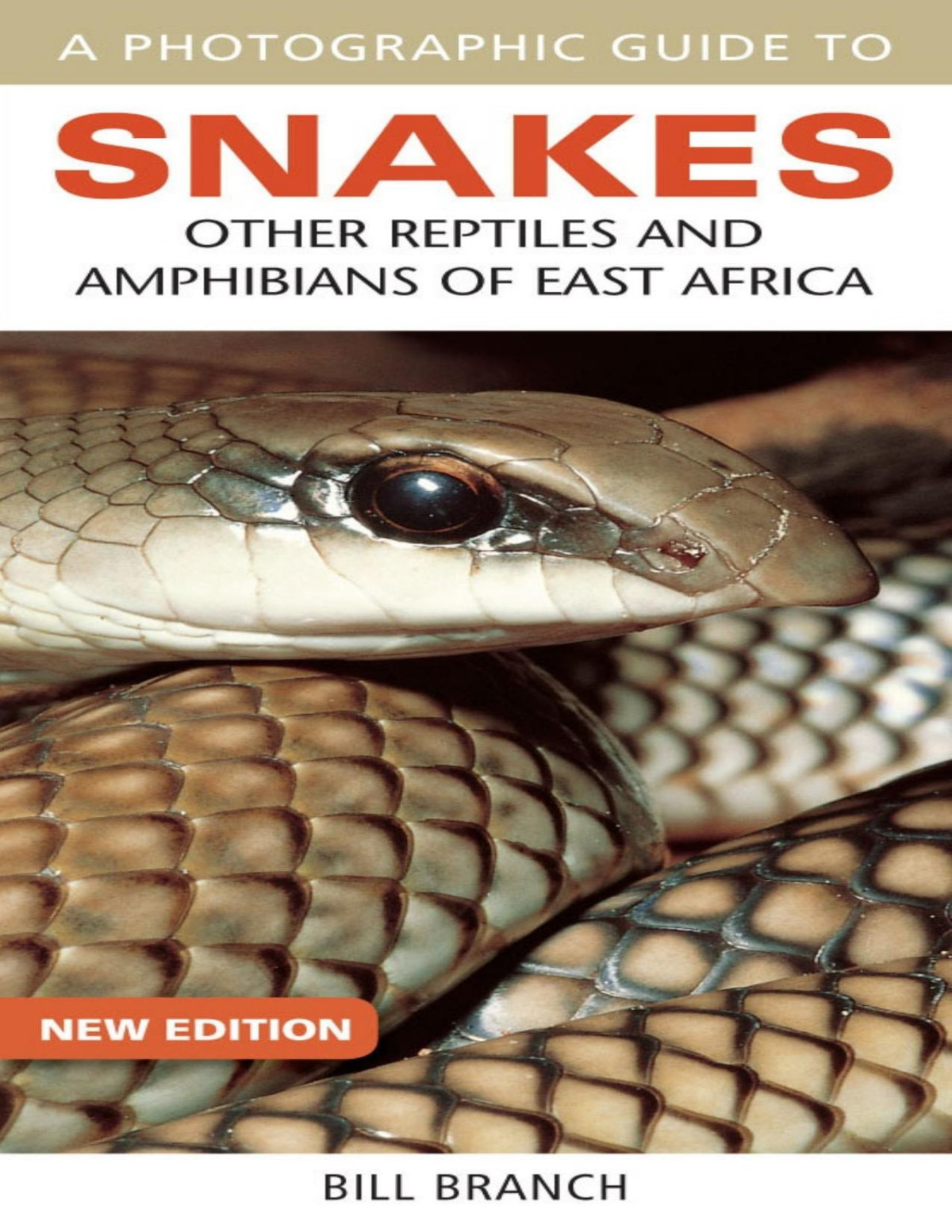 A Photographic Guide To Snakes Other Reptiles And Amphibians Of East Africa Bill Branch