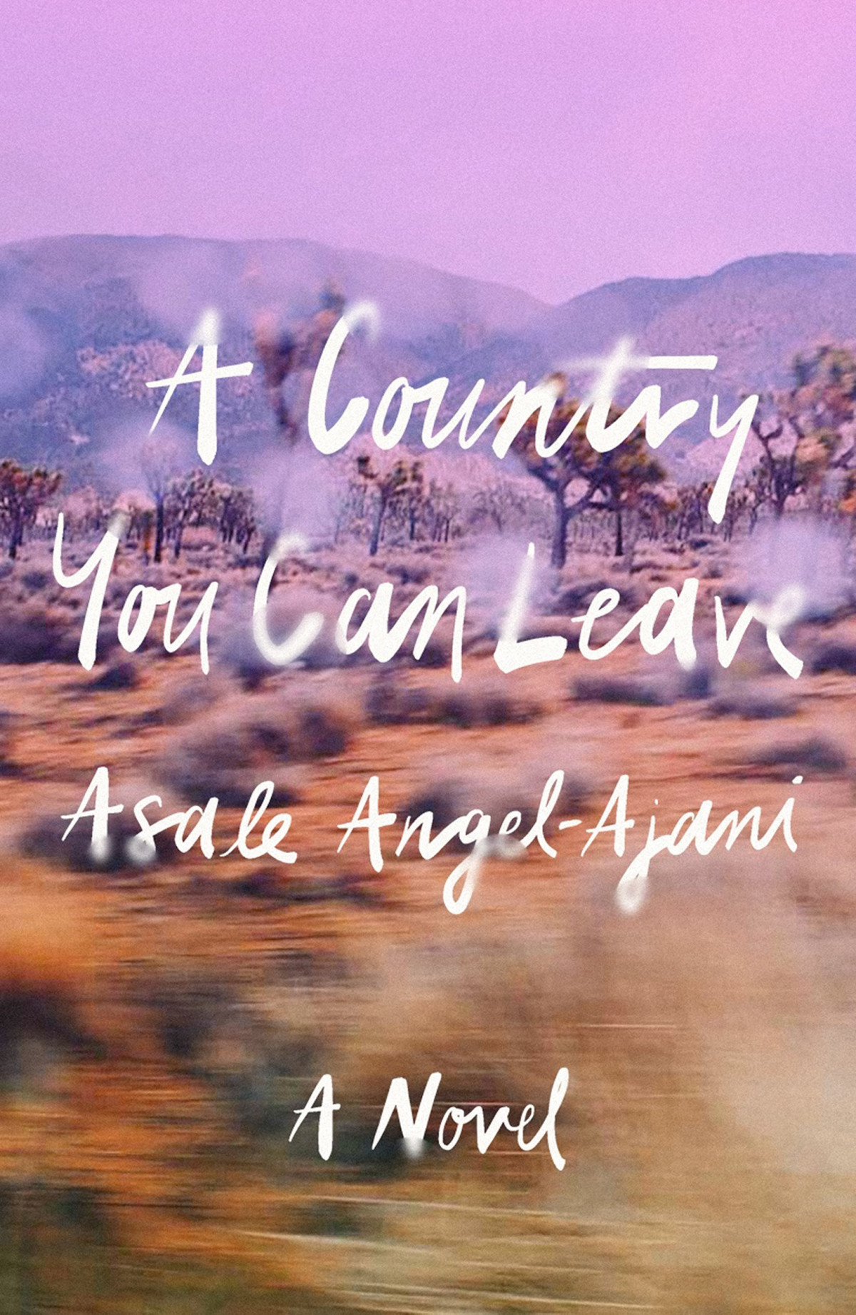 A Country You Can Leave 1st Edition Asale Angelajani