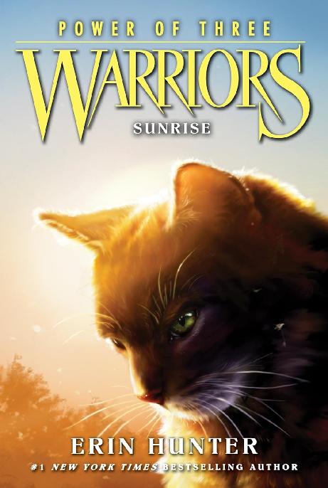 6 Warriors Power Of Three Erin Hunter