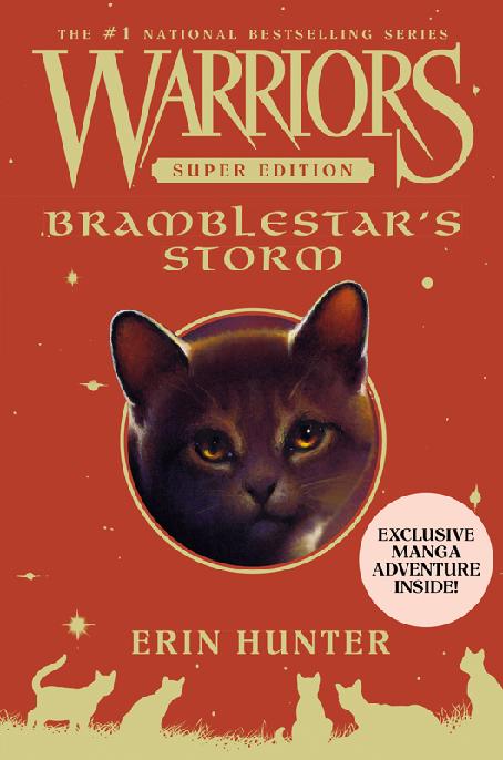 7 Bramblestars Storm Warriors Super Edition Erin Hunter