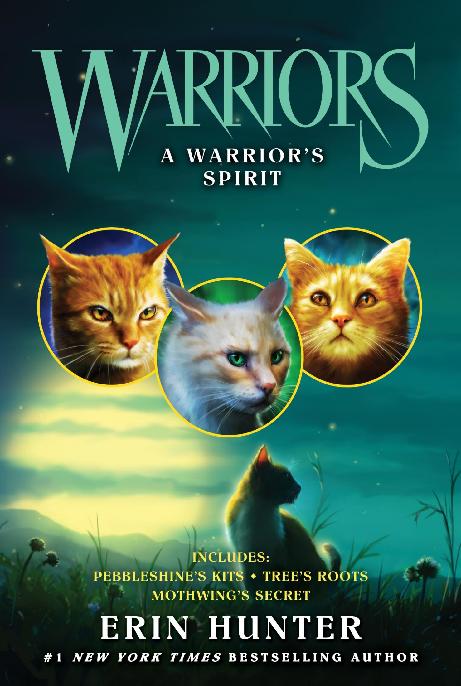 1618 A Warriors Spirit Warriors Novella Erin Hunter