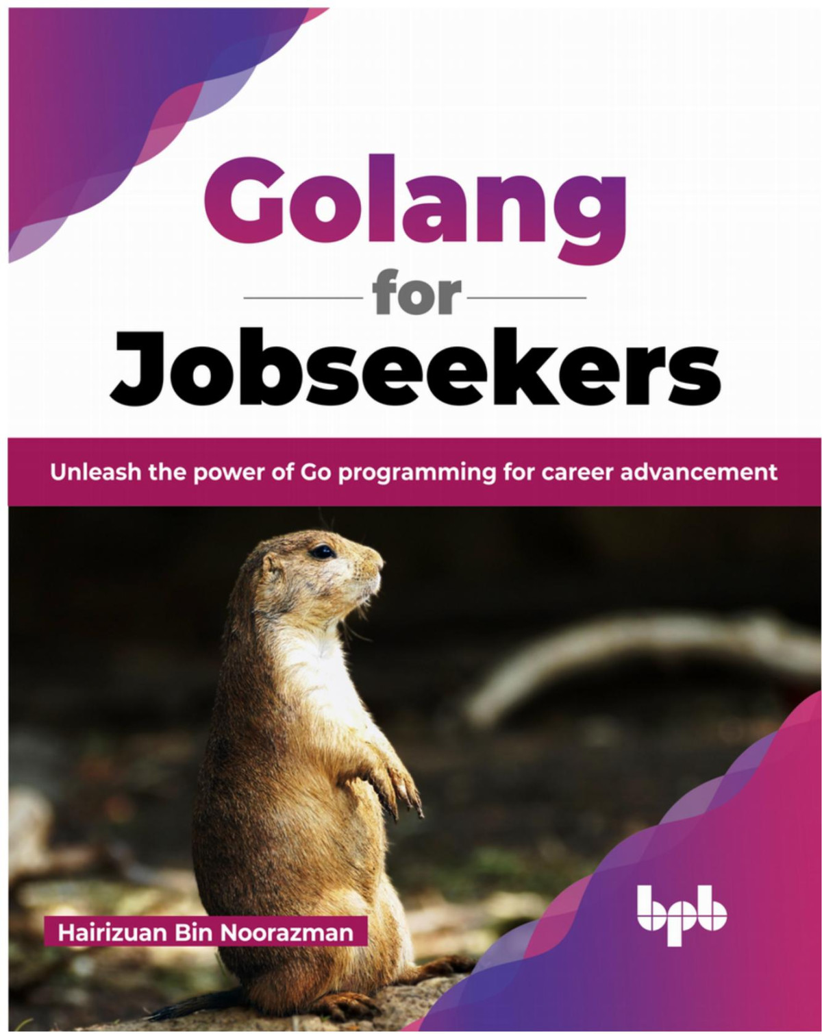 Golang For Jobseekers Unleash The Power Of Go Programming For Career Advancement 1st Edition Hairizuan Bin Noorazman
