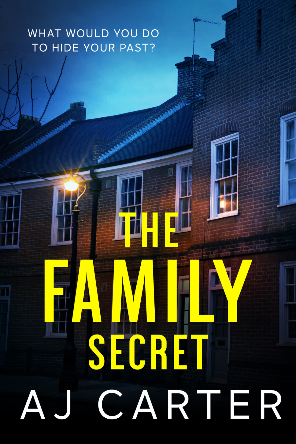 The Family Secret A Gripping Psychological Domestic Thriller Full Of Suspense And Shocking Twists Carter
