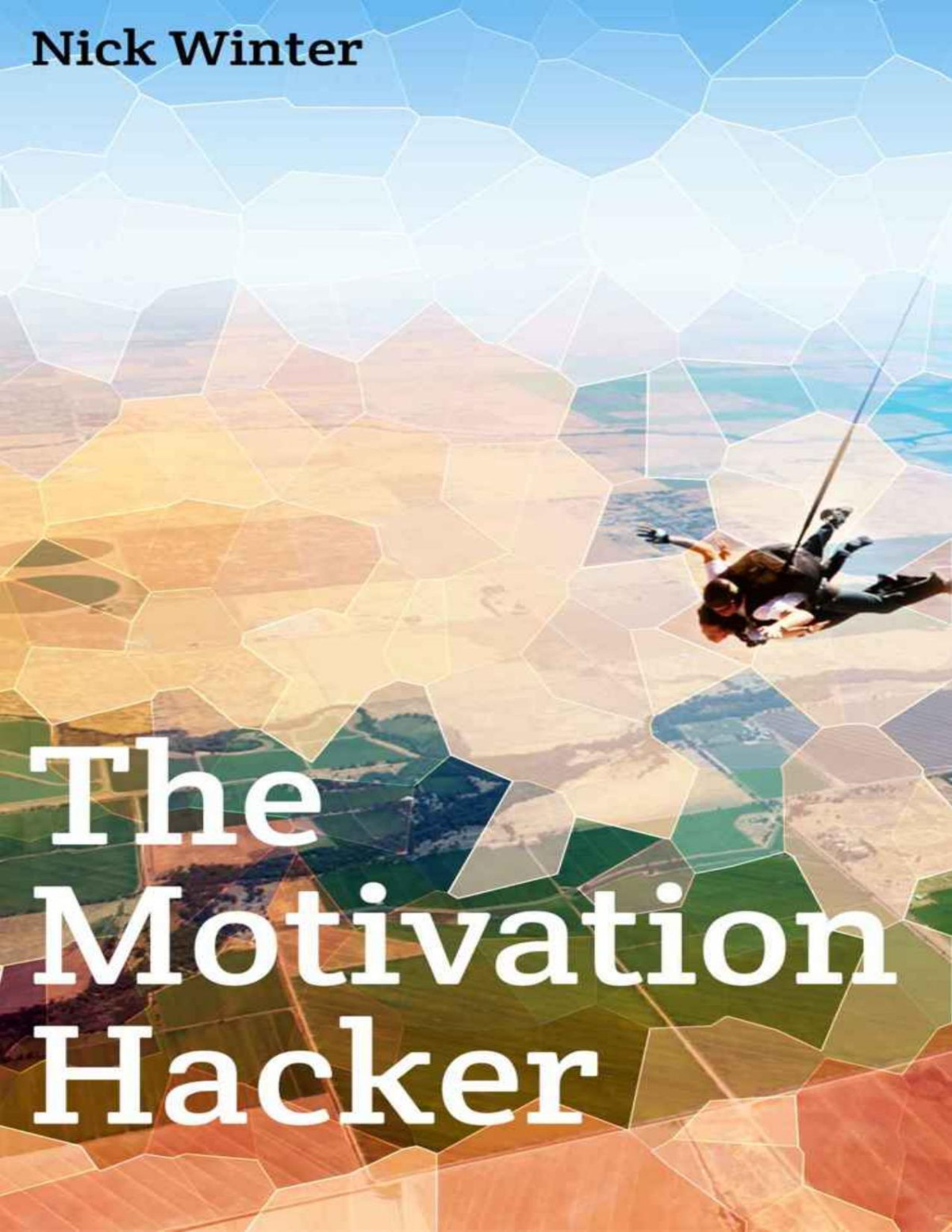 The Motivation Hacker Nick Winter
