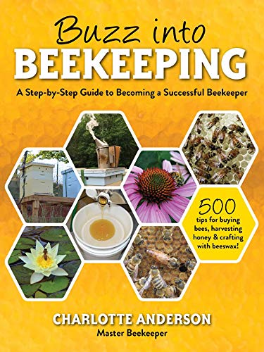 Buzz Into Beekeeping A Stepbystep Guide To Becoming A Successful Beekeeper 1st Edition Anderson