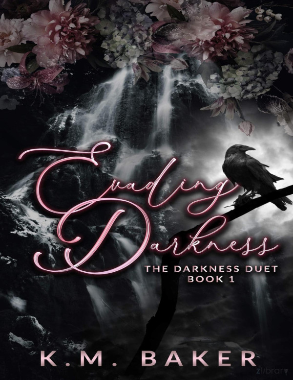 Evading Darkness The Darkness Duet Book 1 Km Baker