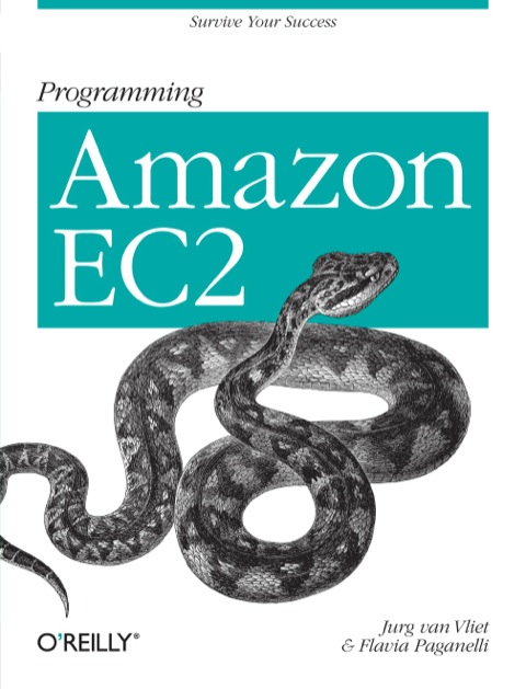 Programming Amazon Ec2 Survive Your Success 1st Edition Van Vliet