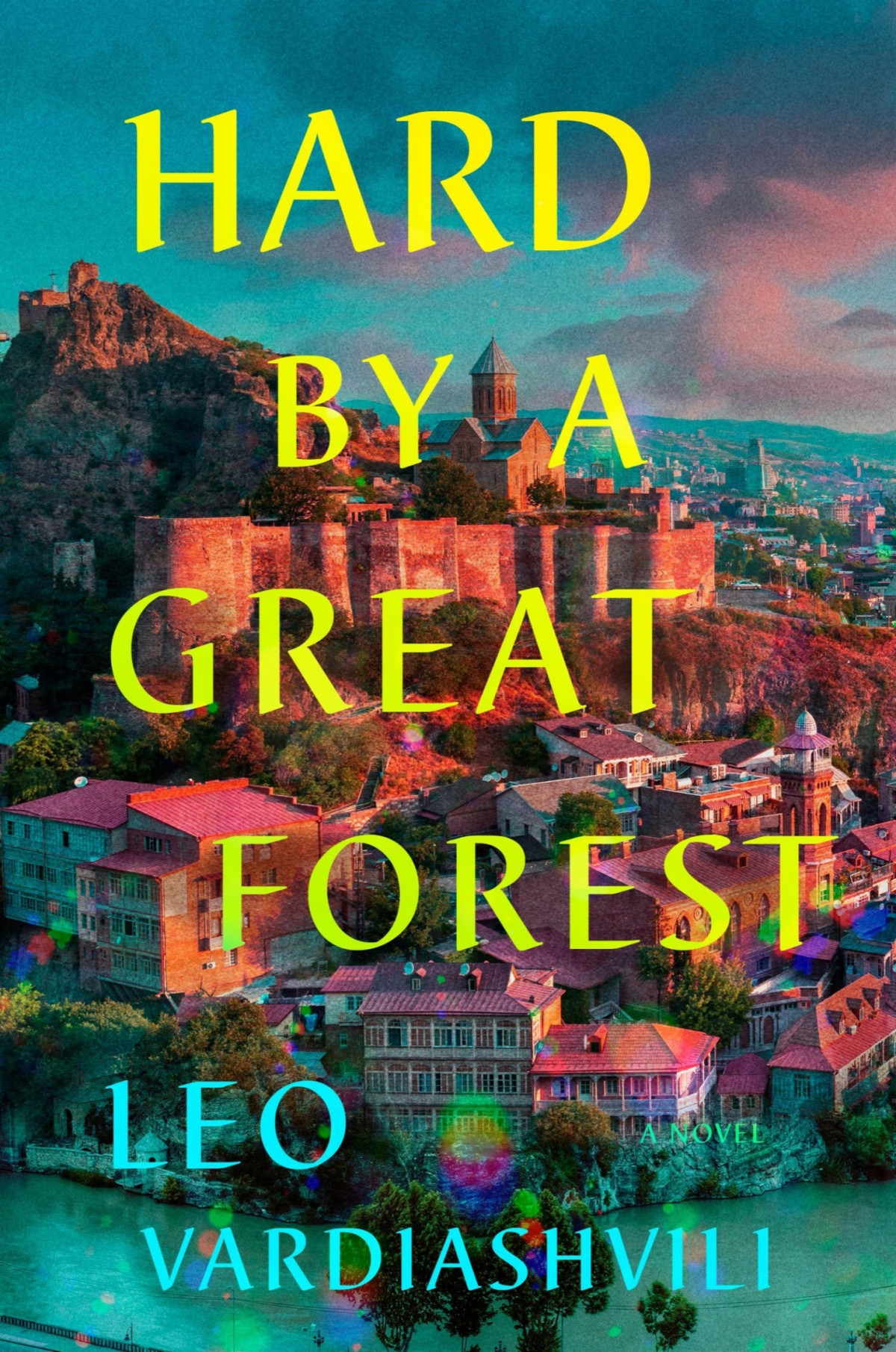 Hard By A Great Forest A Novel Leo Vardiashvili