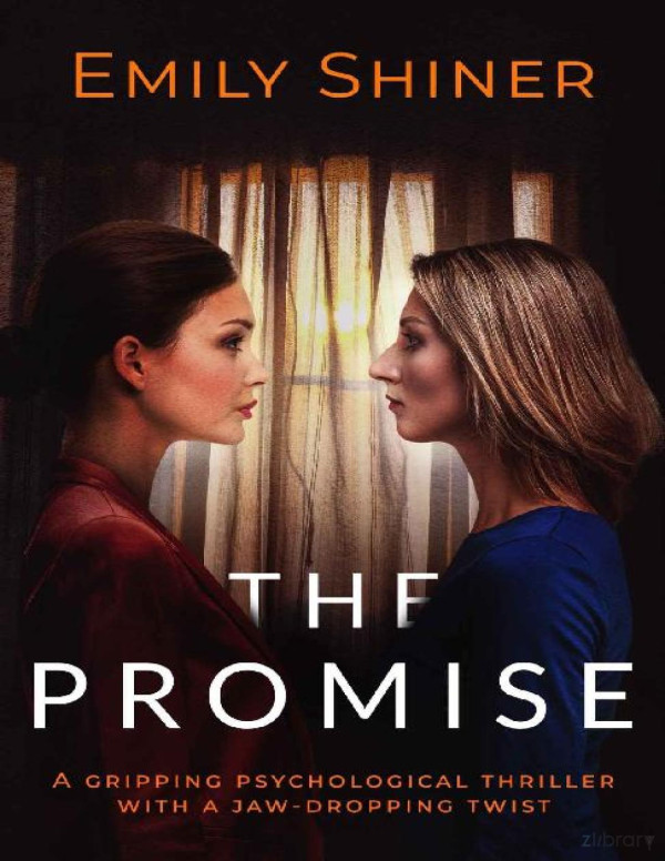 The Promise A Gripping Psychological Thriller With A Jawdropping Twist Emily Shiner