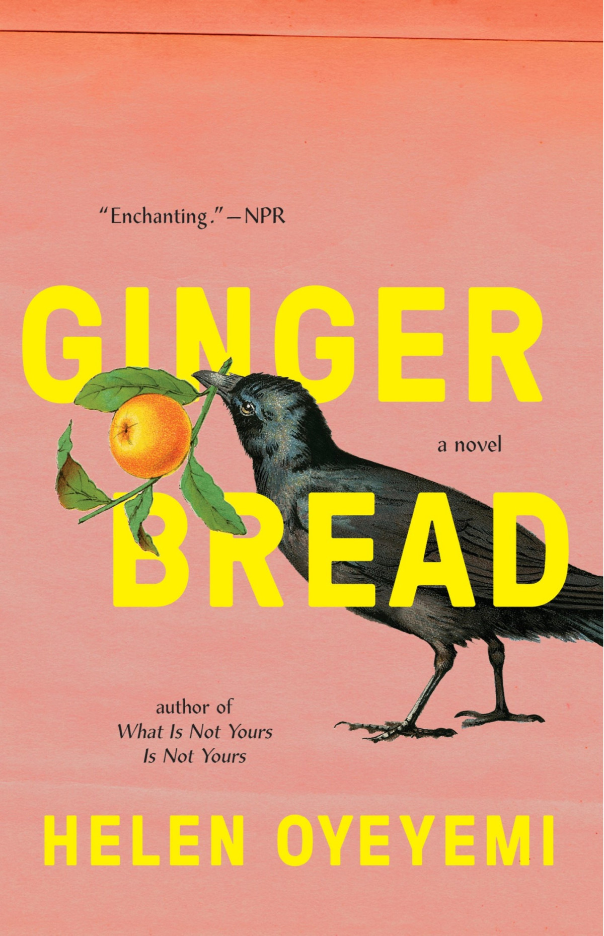Gingerbread A Novel Large Print Oyeyemi Helen