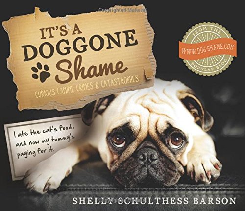 Its A Doggone Shame Curious Canine Crimes And Catastrophes Shelly Schulthess Barson